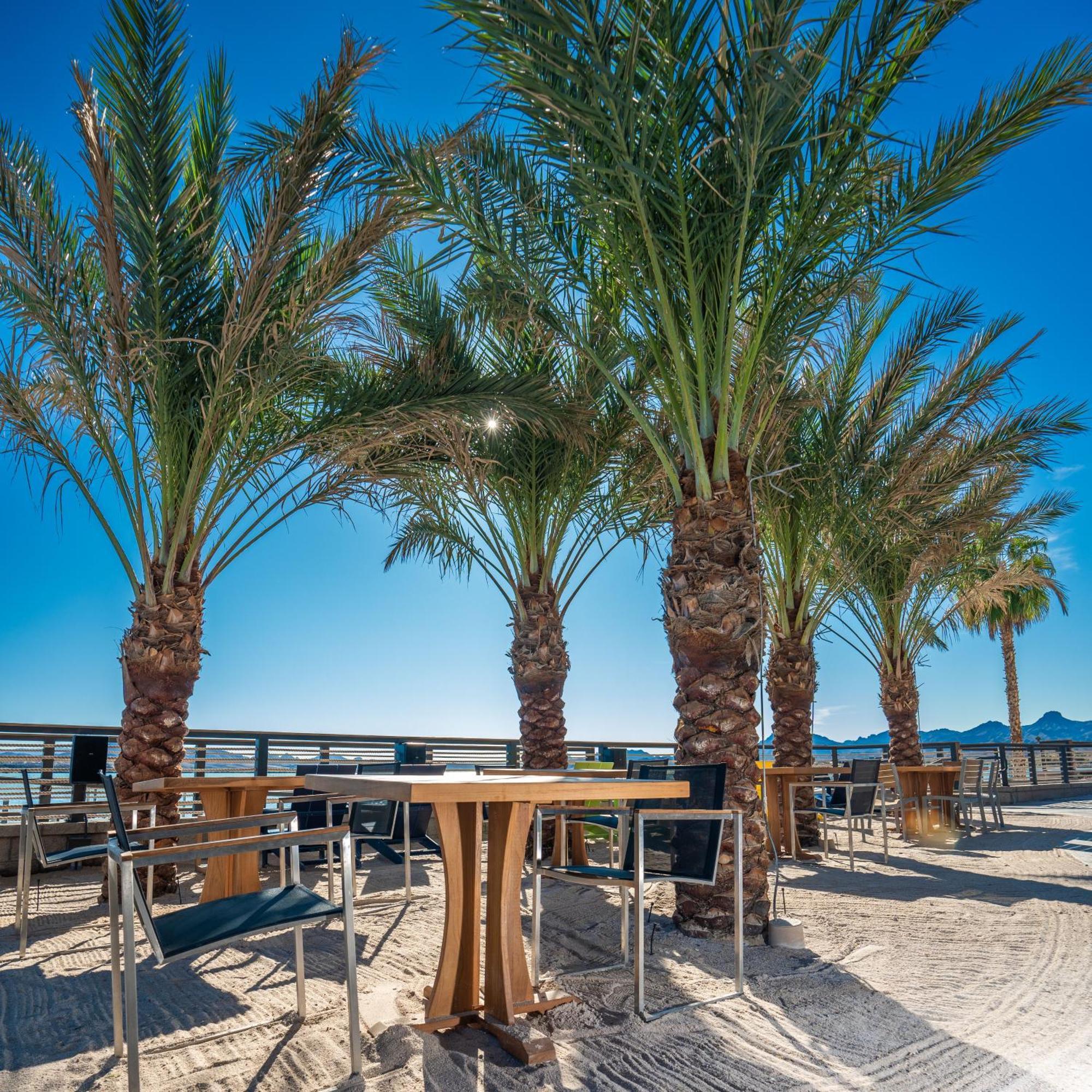 The Nautical Beachfront Resort Lake Havasu City Εξωτερικό φωτογραφία