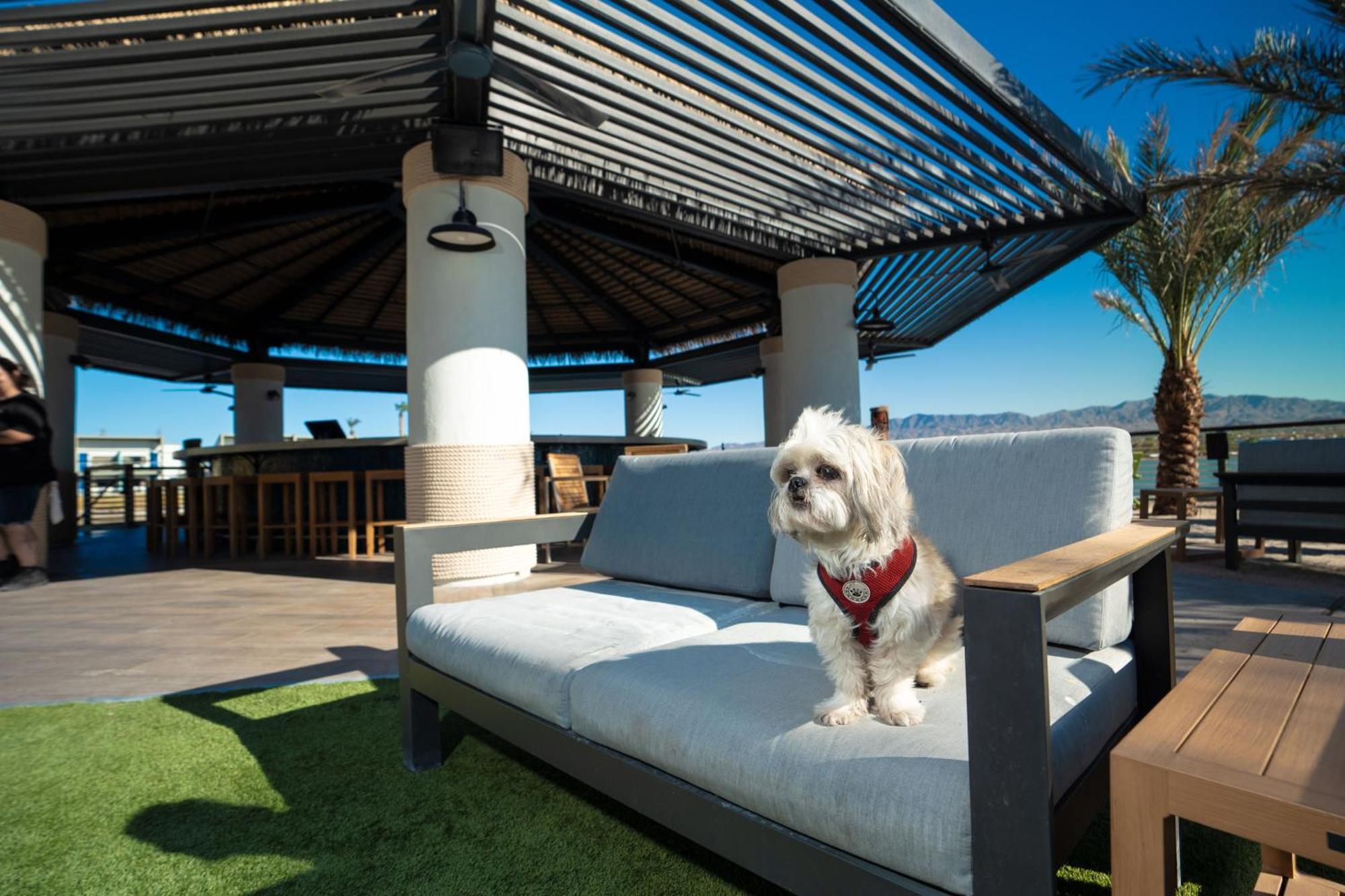 The Nautical Beachfront Resort Lake Havasu City Εξωτερικό φωτογραφία
